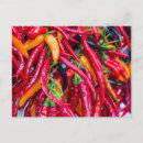 Search for hot chilli postcards Red