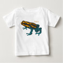 Search for dart tshirts Amphibian