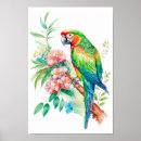 Search for macaws art Parrot