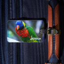 Search for close accessories Bird