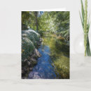 Search for creeks cards Nature photography