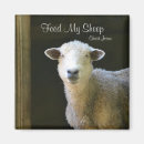 Search for sheep lamb magnets Jesus