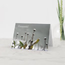 Search for cold christmas cards Photograph