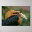 Search for piercing art Nature