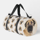 Search for boerboel Mastiff