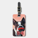 Search for boston terrier accessories Dog
