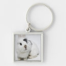 Search for white rabbit key rings Nature