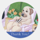Search for poolside stickers Cute