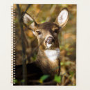Search for tail office supplies Hunter