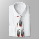 Search for congo accessories Congo african grey