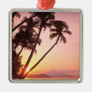 Search for sunrise christmas tree decorations Orange