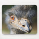 Search for beaks electronics Outdoors