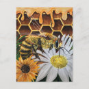 Search for apiarist postcards Honeycomb