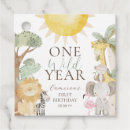 Search for one wild year First birthday party