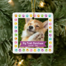 Search for color christmas tree decorations Pet
