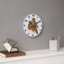 Search for insect clocks Butterfly