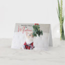 Search for crazy cat christmas cards Cute
