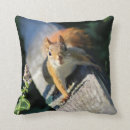 Search for red squirrel cushions Nature