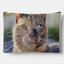 Search for “cat accessories For pets