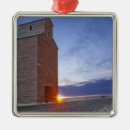Search for granary Agriculture