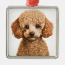 Search for apricot poodle christmas tree decorations Puppy