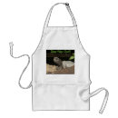 Search for tortoise aprons Reptile