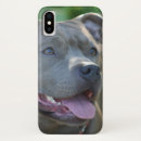 Search for pit iphone cases Pet