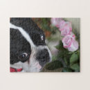 Search for boston terrier puzzles Flowers
