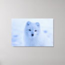 Search for arctic fox posters Iceland