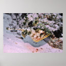 Search for stingray art Underwater