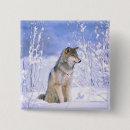 Search for canis lupus badges Snow