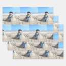 Search for florida wrapping paper Beach