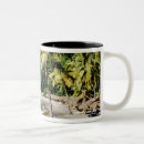 Search for west indies mugs Vacation
