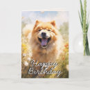 Search for chow chow cards From the dog