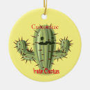 Search for succulent christmas tree decorations Southwest