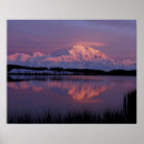Search for mt posters Reflection