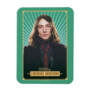Search for beasts magnets Wizarding wold