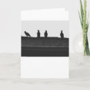 Search for turkey cards Bird
