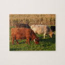 Search for beef puzzles Cattle