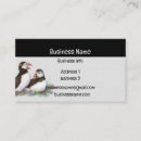 Search for wildlife business cards Animal