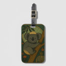 Search for koala photography Wild animal