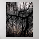Search for willow photography Trees