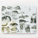 Search for zoology mousepads Skull