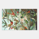 Search for haeckel stickers Nature