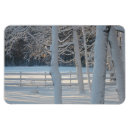 Search for fencing christmas cards Winter