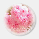 Search for blossoms magnets Sakura