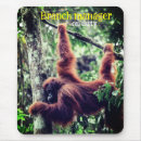 Search for orangutan mousepads Wildlife
