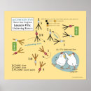 Search for swing dance posters Dancing