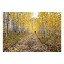 Search for gunnison art Road