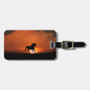 Search for dressage accessories Cute